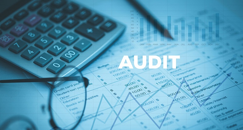 Developing, Improving and Monitoring the Internal Audit